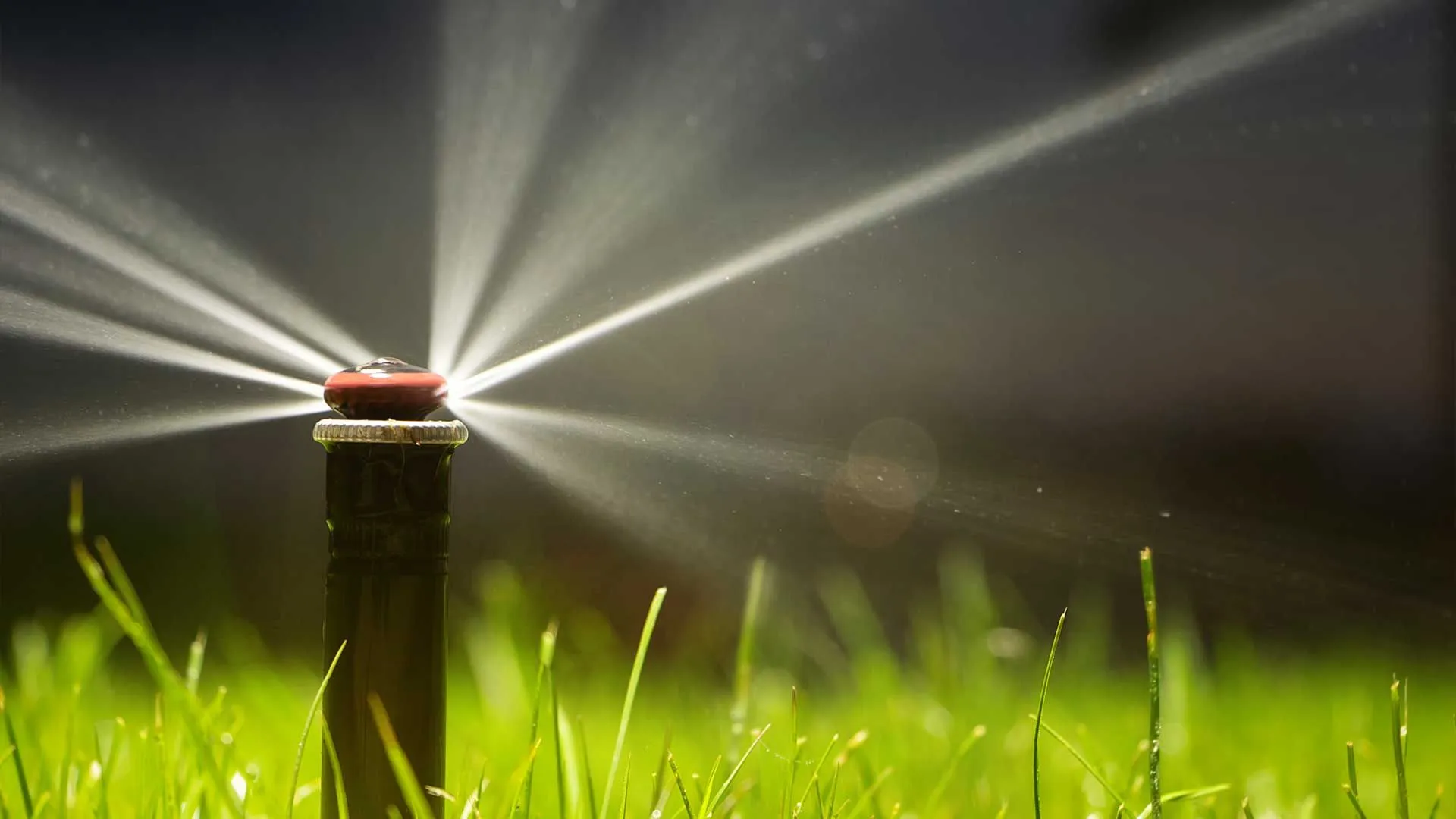 Mastering Your Garden: Essential Tips for Installing a Home Irrigation System