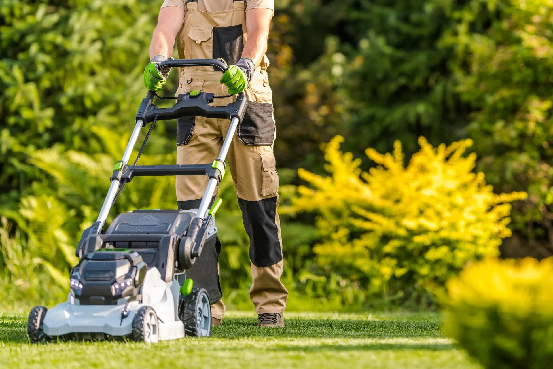 Landscaping Services: Cultivating Dreams and Crafting Realities
