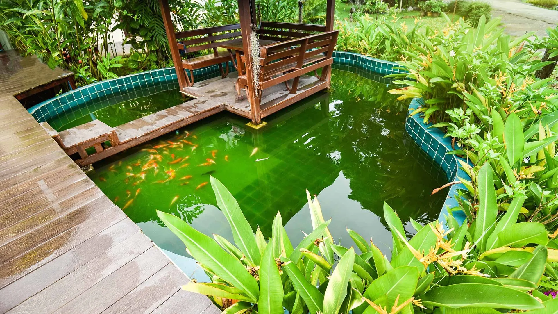 The Definitive Checklist for Choosing Professional Pond Installers