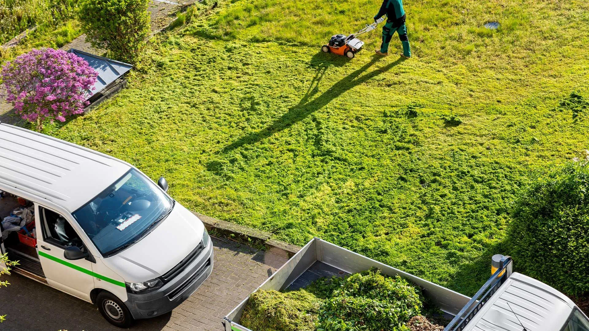 Unclutter Your Landscape: The Comprehensive Guide to Tree and Brush Removal